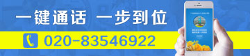 绰ѯ